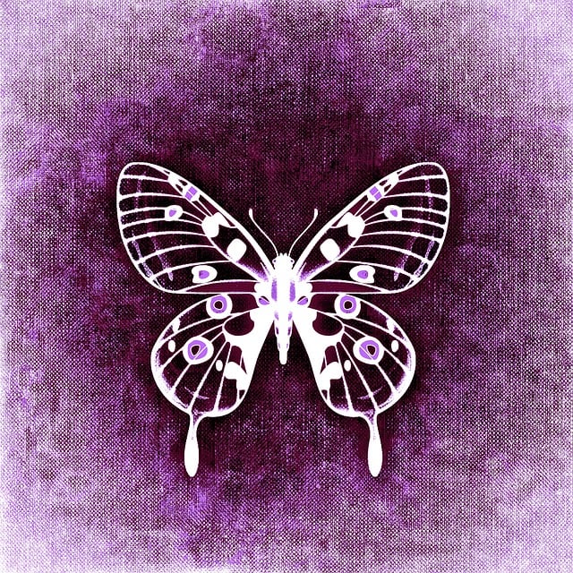 Free butterfly insect multicoloured illustration