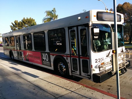 Free Bus Public Tansportation photo and picture