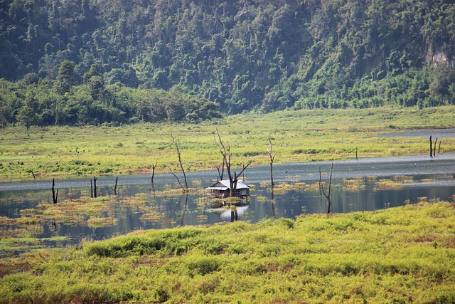 Free Countryside Hut photo and picture