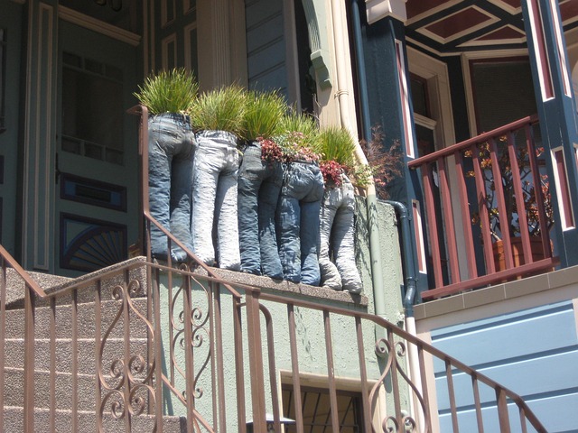 Free Jeans Plant photo and picture