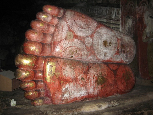 Free Sri Lanka Feet photo and picture