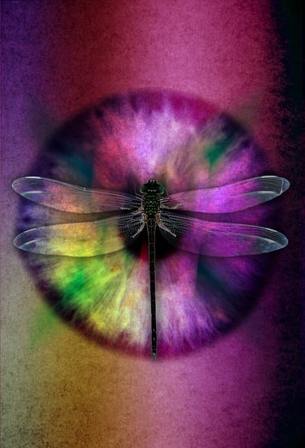 Download free HD stock image of Abstract Eye Dragonfly Free abstract eye dragonfly bug illustration