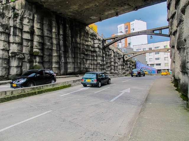 Free Bridge Manizales photo and picture