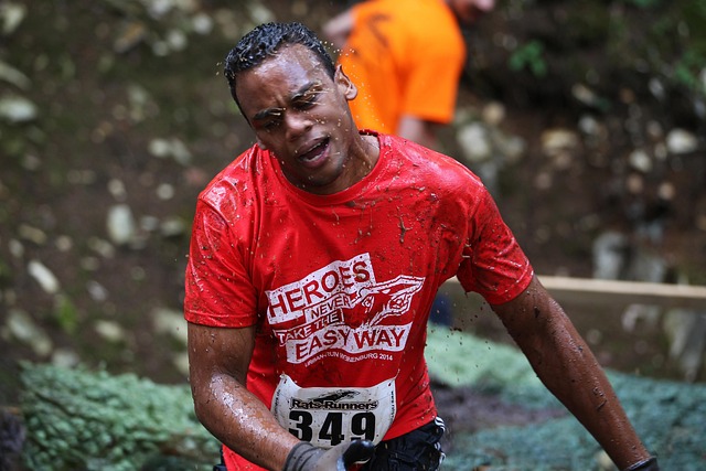 Free Motivation Steeplechase photo and picture