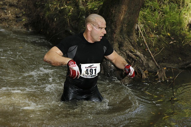 Free Motivation Steeplechase photo and picture
