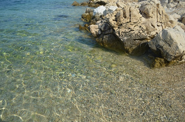 Free Sea Calculus photo and picture