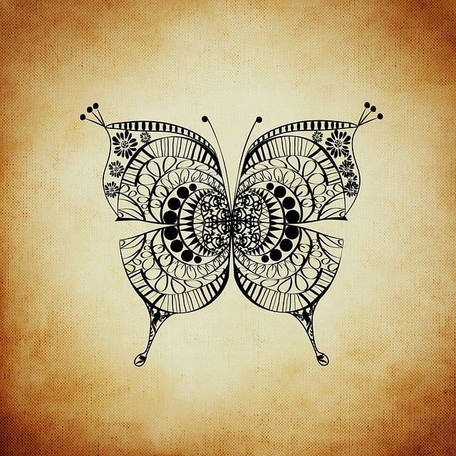 Free butterfly insect wing illustration