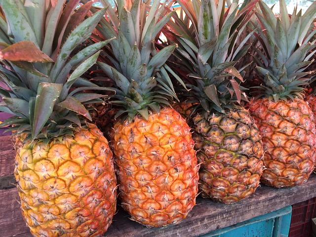 Free Pineapple Fruit photo and picture