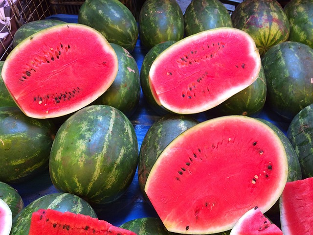 Free Watermelon Fruit photo and picture