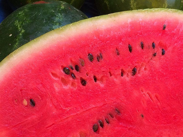 Free Watermelon Fruit photo and picture