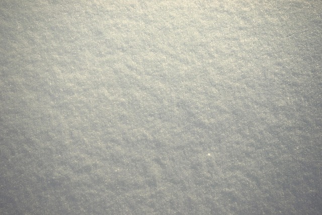 Free Snow Plane photo and picture