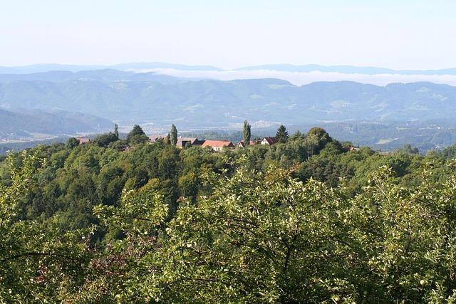 Südsteiermark, Natur, Landschaft, Sommer