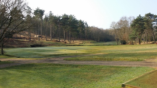 Golf, Árboles, Curso, Verde, Fairway