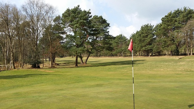 Golf, Curso, Bandera, Agujero, Fairway