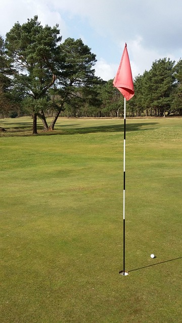 Golf, Bandera, Pelota, Verde, Hierba