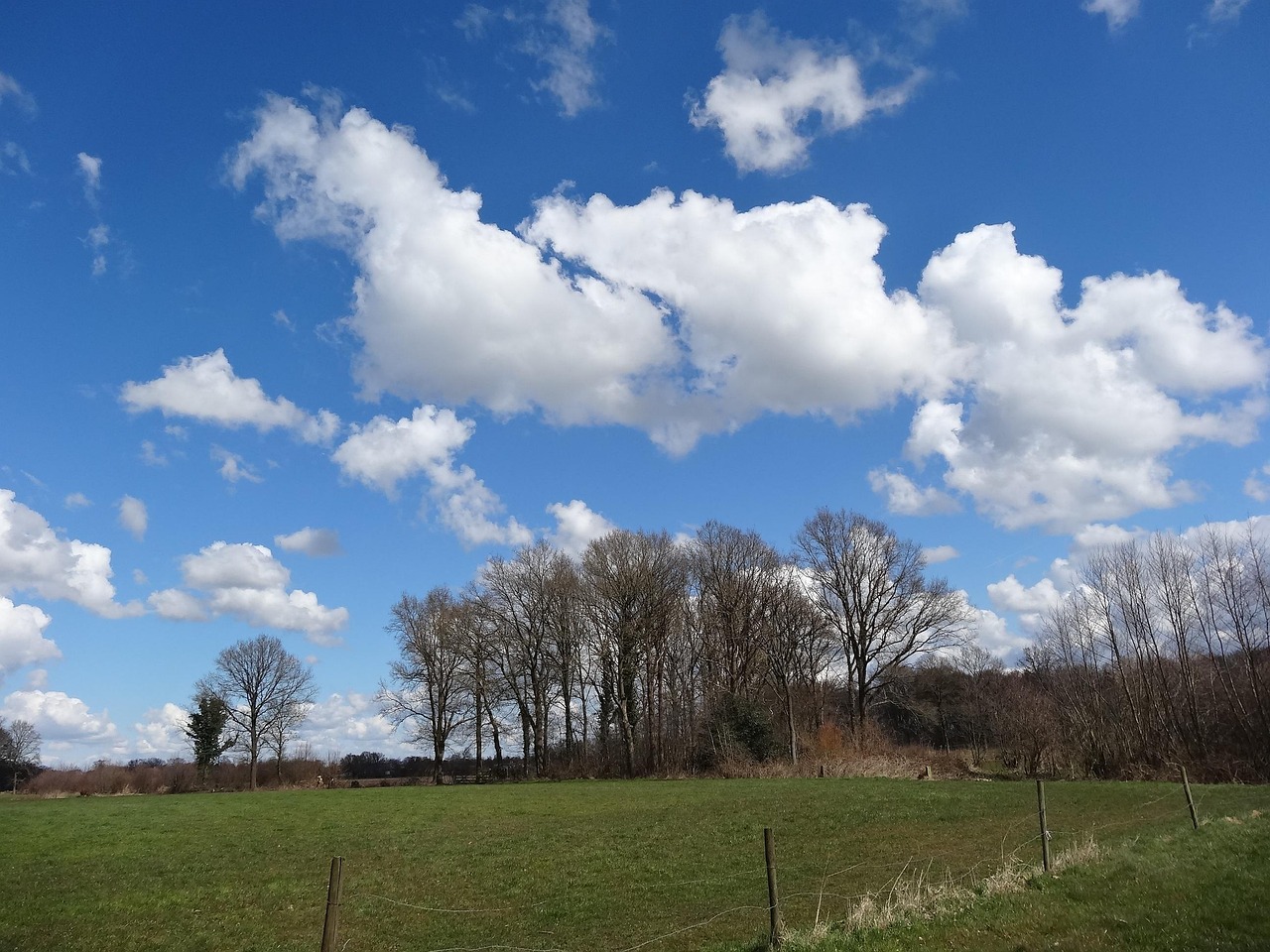 Blue Sky - free online jigsaw puzzle photo