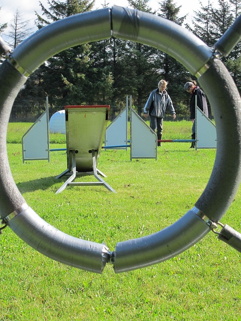 360 agility