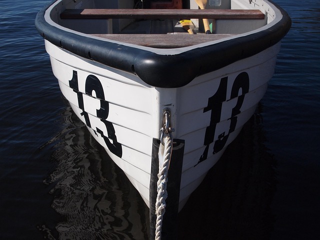 Free Rowing Boat photo and picture
