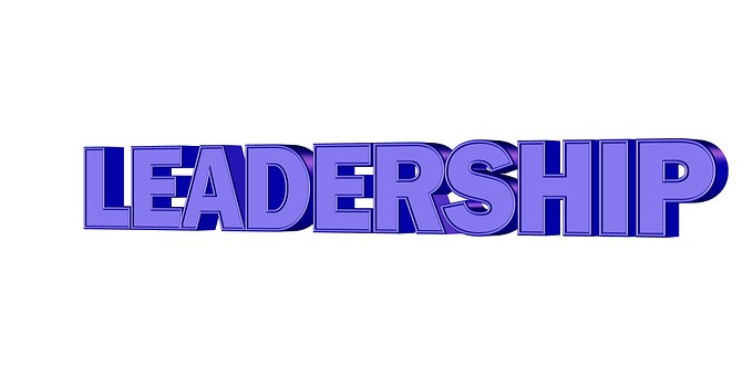 Leadership, Gestion, Directeur
