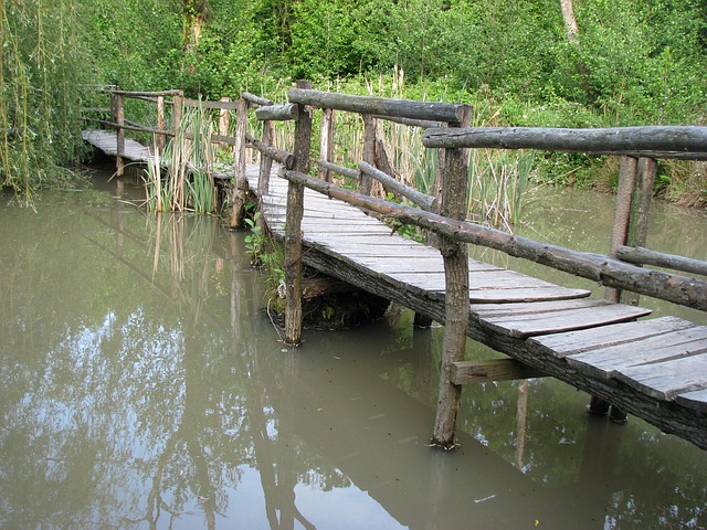 Free Nature Wooden Bridge photo and picture