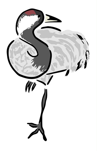 Free heron nature grey illustration