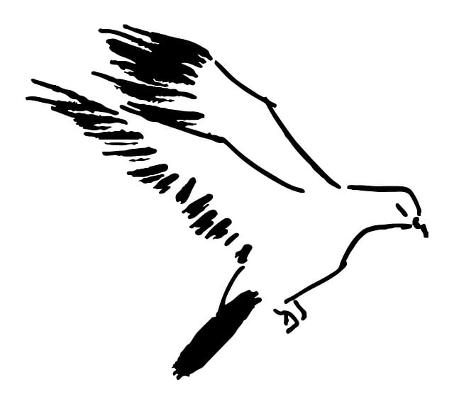 Due, Flyvningen, Fugl, Sumi-E, Sort Blæk