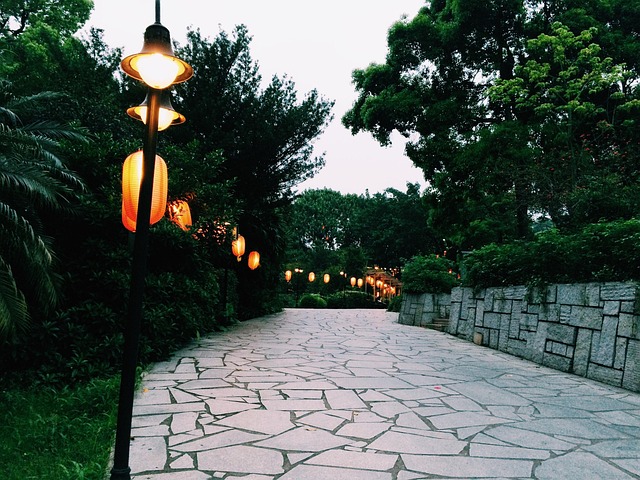 Free Street Lamp Street View photo and picture