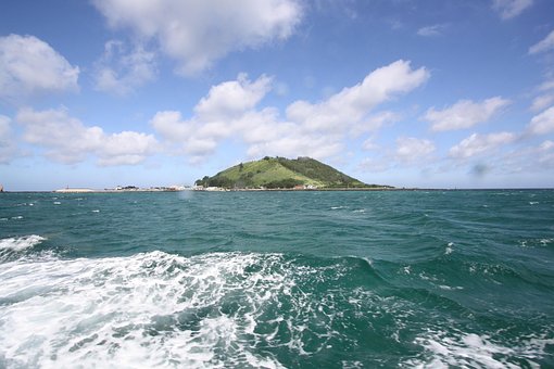 Free Island Non-Transfer photo and picture