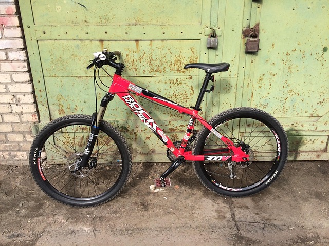 Free Bicycle Brake photo and picture