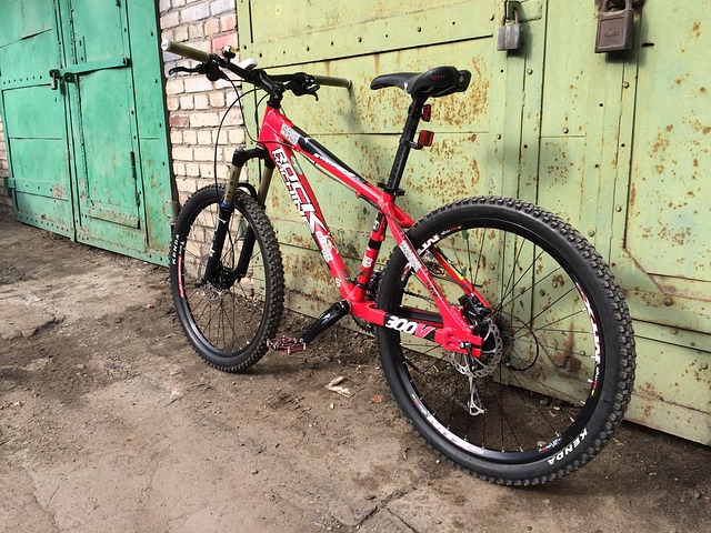 Free Bicycle Brake photo and picture