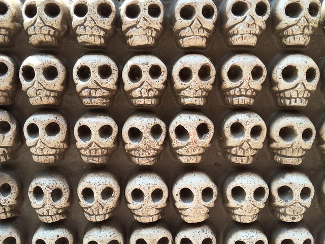 Free Skulls Mexican photo and picture