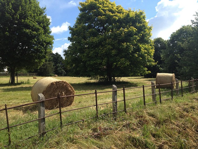 Free Countryside England photo and picture