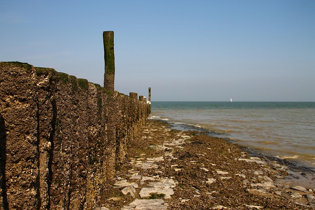 Free Beach Bollard photo and picture