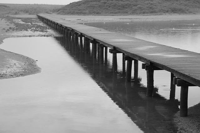 Free Web Black-And-White photo and picture