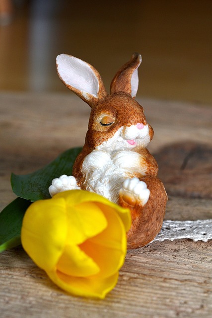 Free Rabbit Decohase photo and picture