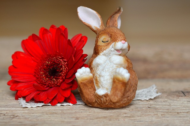Free Rabbit Decohase photo and picture