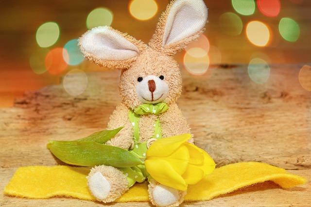 Free Stuffed Bunny Nature photo and picture