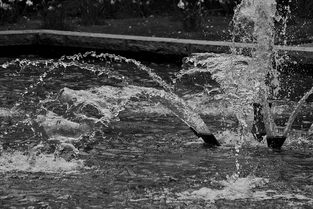 Free Water Fountain photo and picture