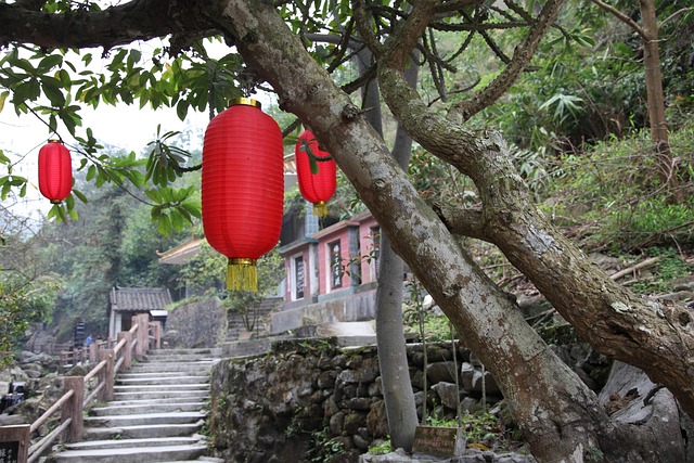 Free Red Lantern Tree photo and picture