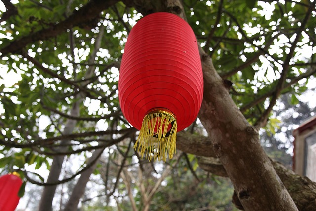 Free Red Lantern Hang photo and picture