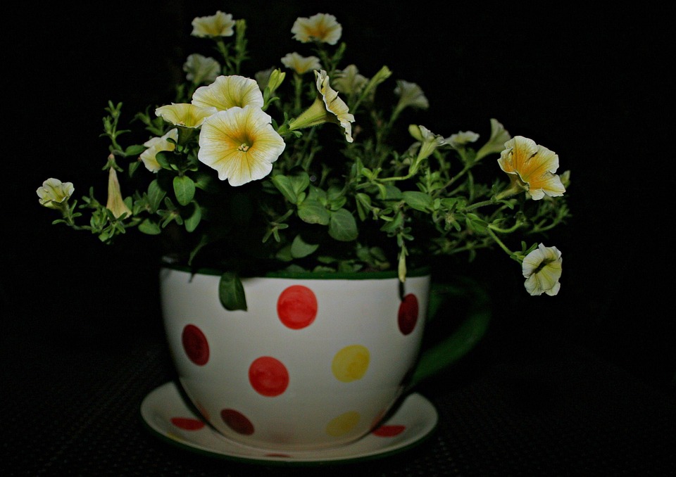 When The Pain Turns To Anguish And The Discomfort To Despair