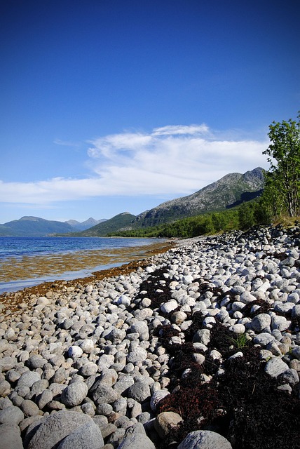 Noruega, Fiorde, Montanha, Paisagem