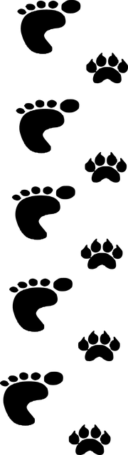 Free foot man people illustration