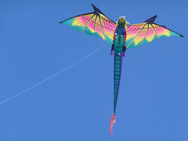 Free Kite Flying photo and picture