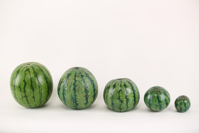 Free Watermelon Illusion photo and picture