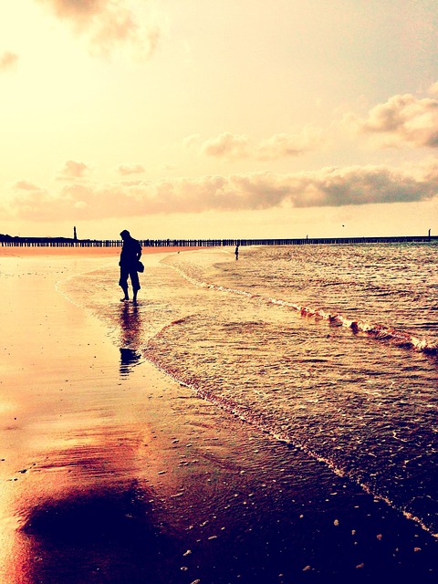 Free Beach Nature photo and picture