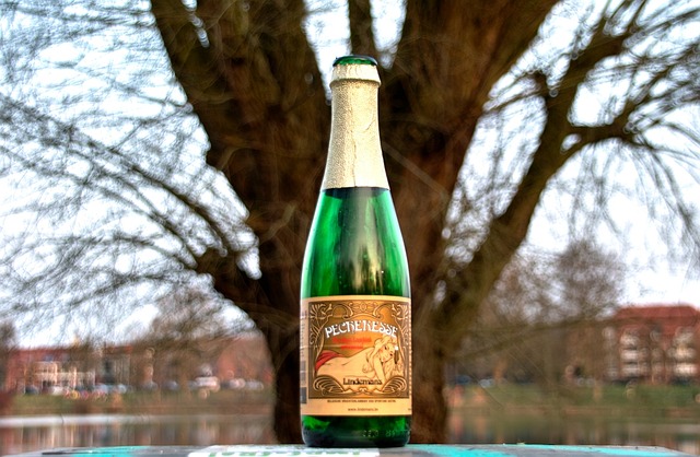 Free Bottle Sparkling Wine photo and picture