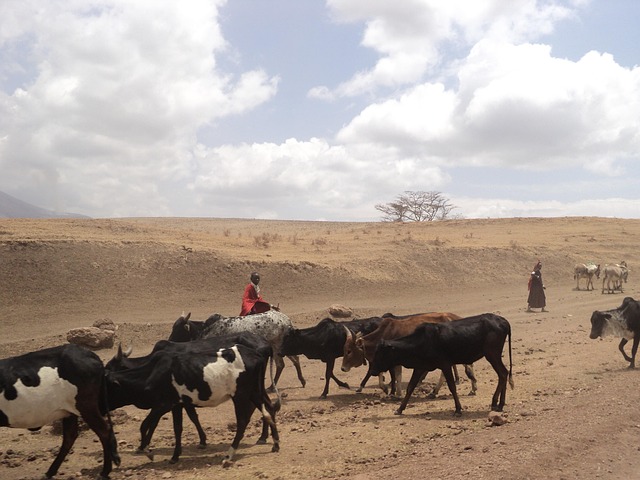 Free Ngorongoro Tanzania photo and picture