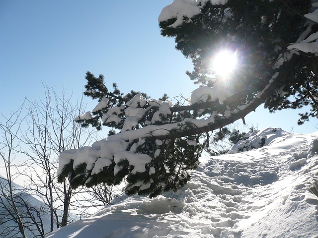 Free Mountain Mountain Climbing photo and picture