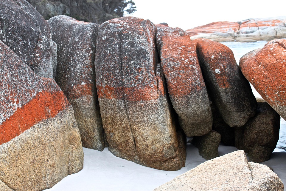 Rocas Tasmania Playa - Foto gratis en Pixabay - Pixabay
